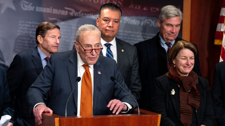 Chuck Schumer, Democrats