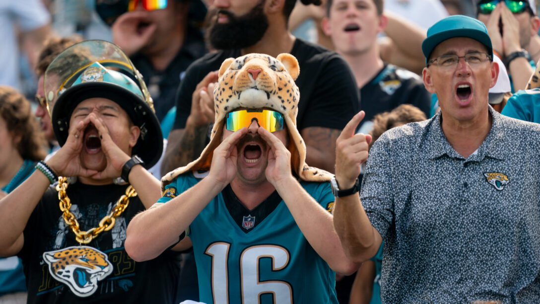 NFL fans