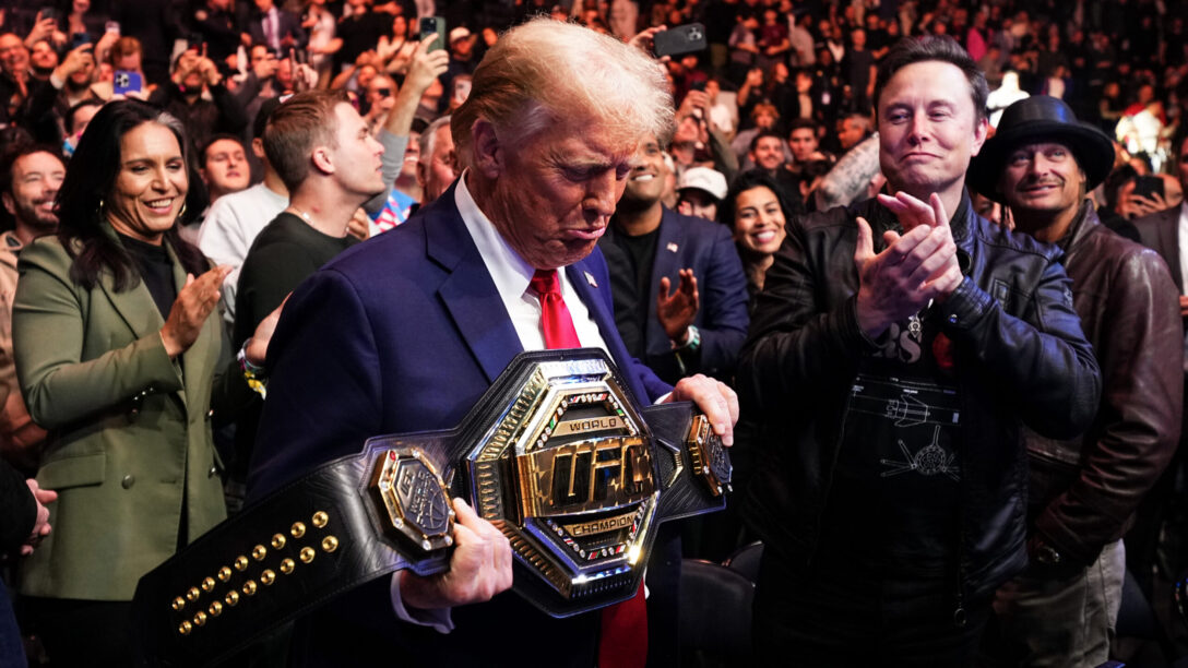 donald trump ufc