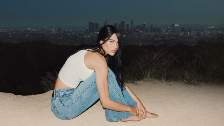 frame denim amelia gray campaign