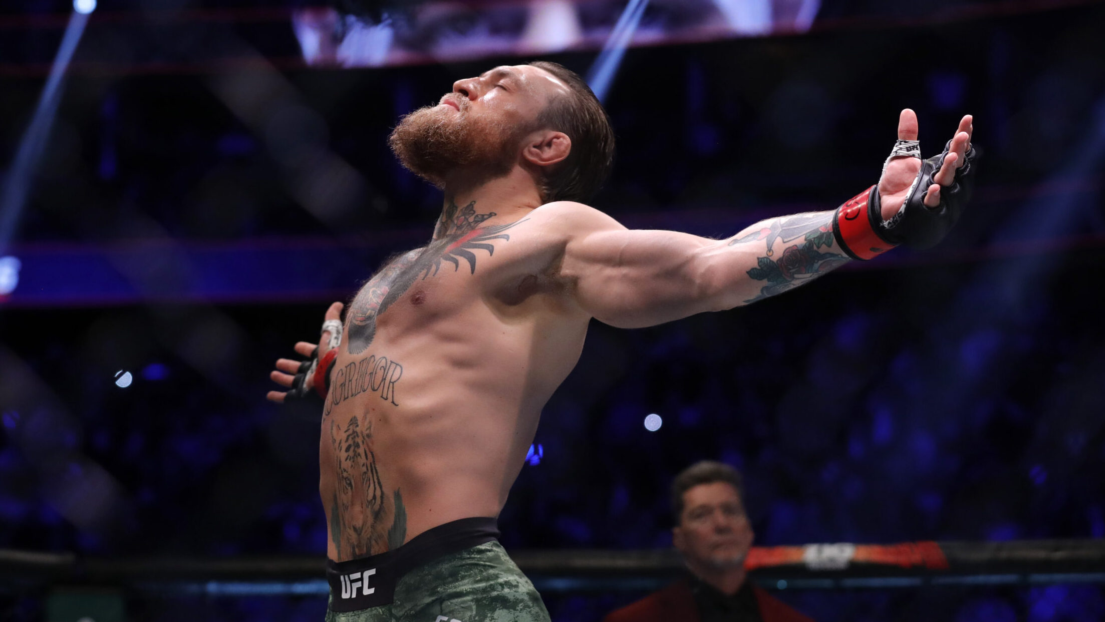 Searching for Conor McGregor